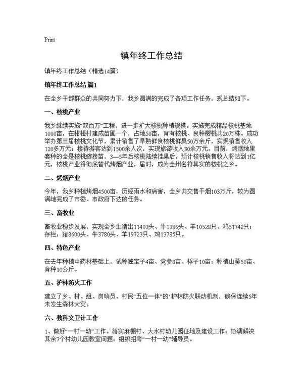 镇年终工作总结 (共27页)
