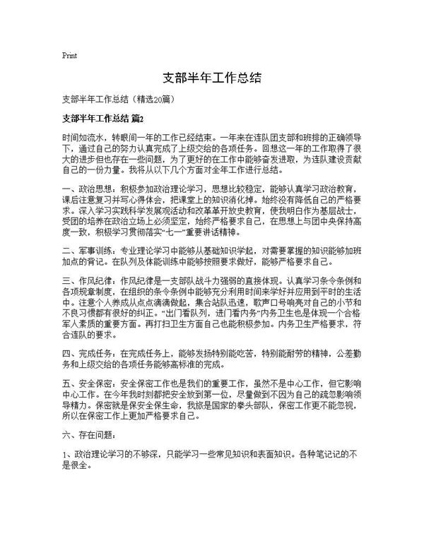 支部半年工作总结 (共29页)