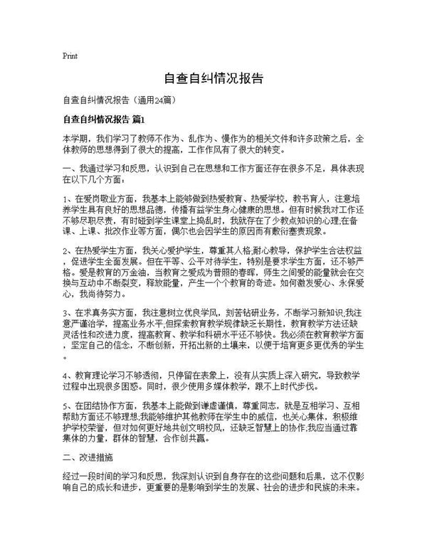 自查自纠情况报告 (共30页)