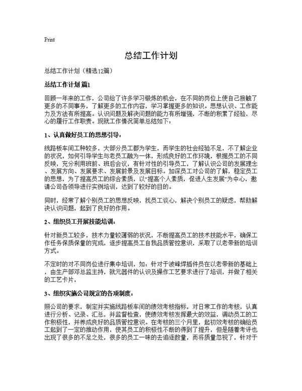 总结工作计划 (共23页)