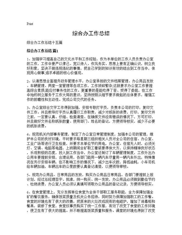 综合办工作总结 (共23页)