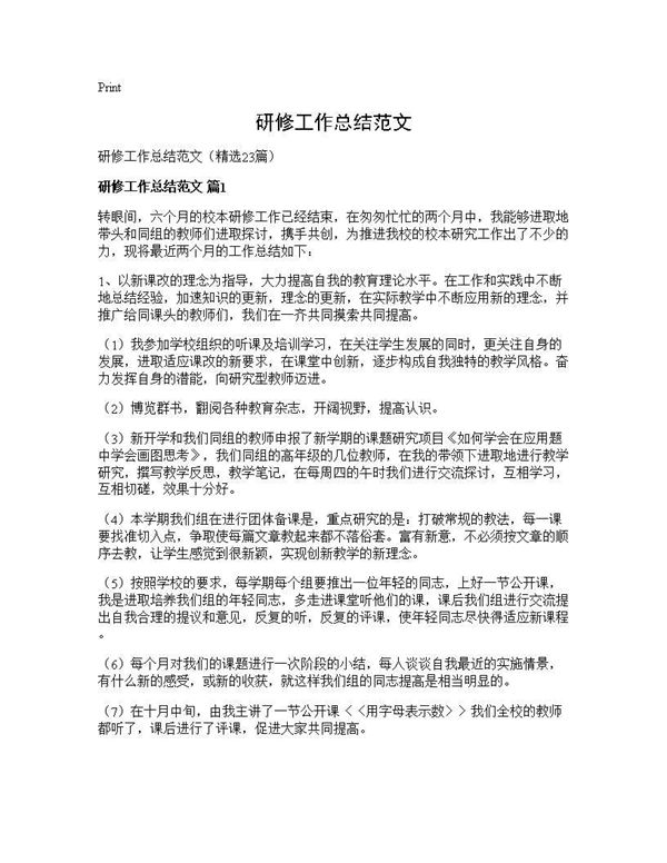 研修工作总结范文 (共23页)