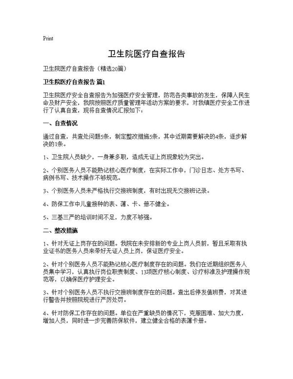 卫生院医疗自查报告 (共28页)