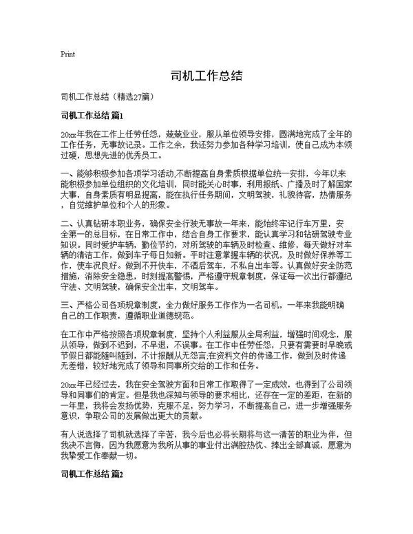 司机工作总结 (共28页)