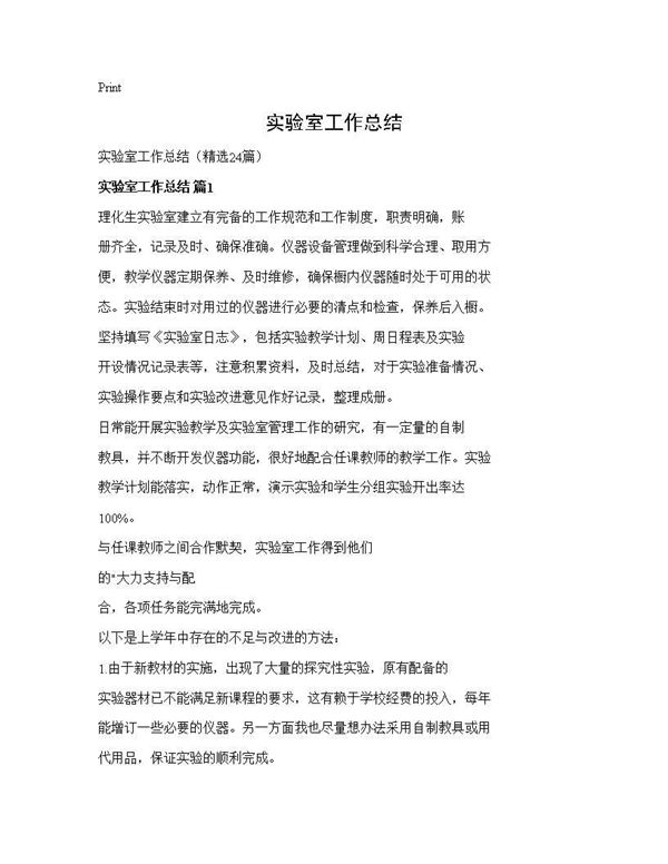 实验室工作总结 (共28页)