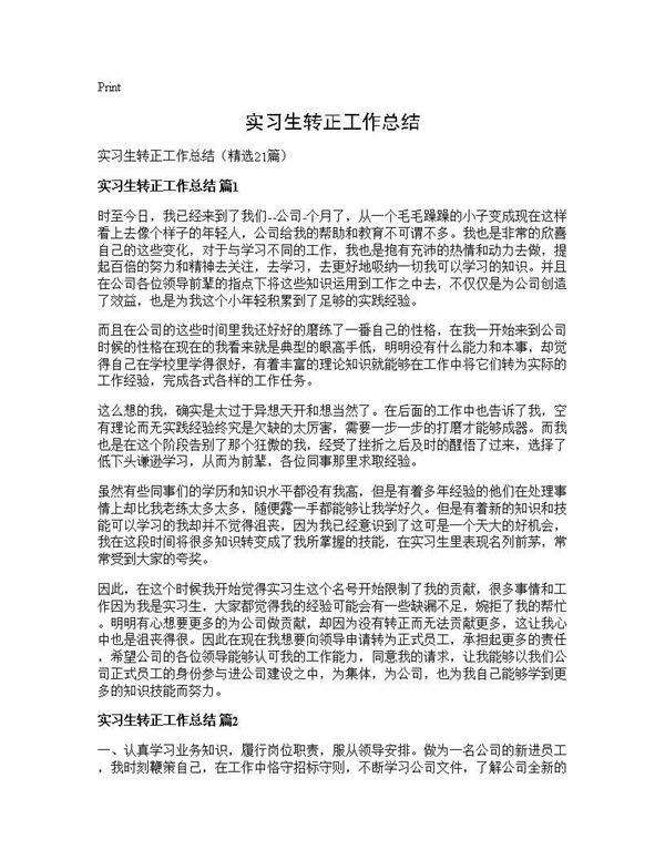 实习生转正工作总结 (共24页)
