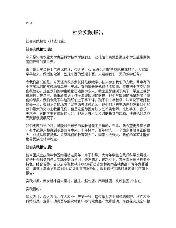 社会实践报告 (共23页)