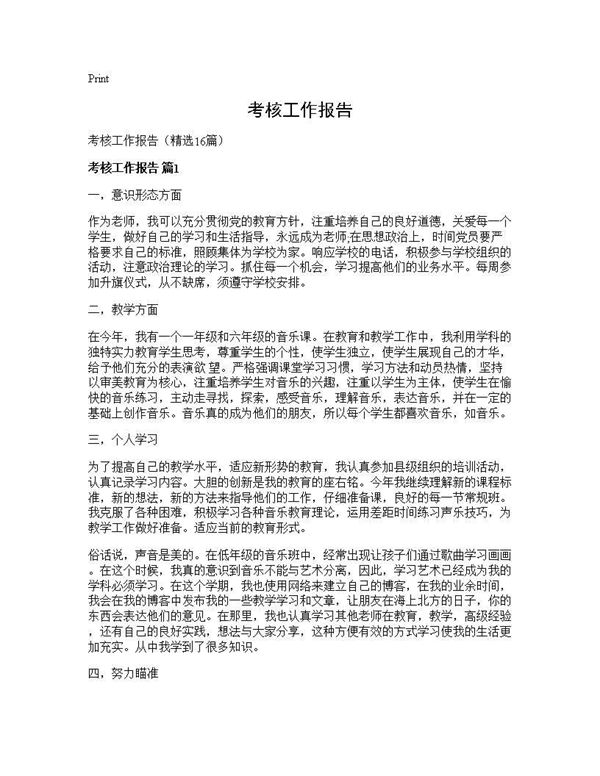 考核工作报告 (共25页)