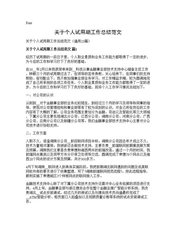 关于个人试用期工作总结范文 (共23页)