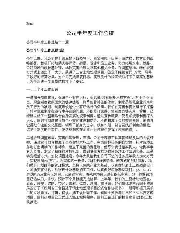 公司半年度工作总结 (共24页)