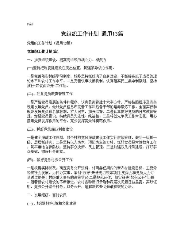 党组织工作计划(通用) (共24页)