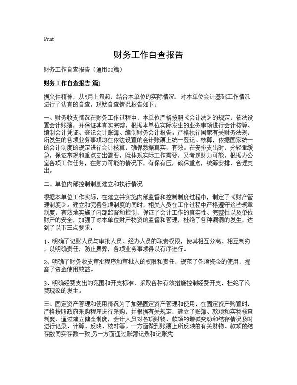 财务工作自查报告 (共29页)