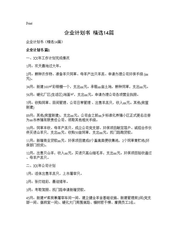 企业计划书(精选) (共28页)