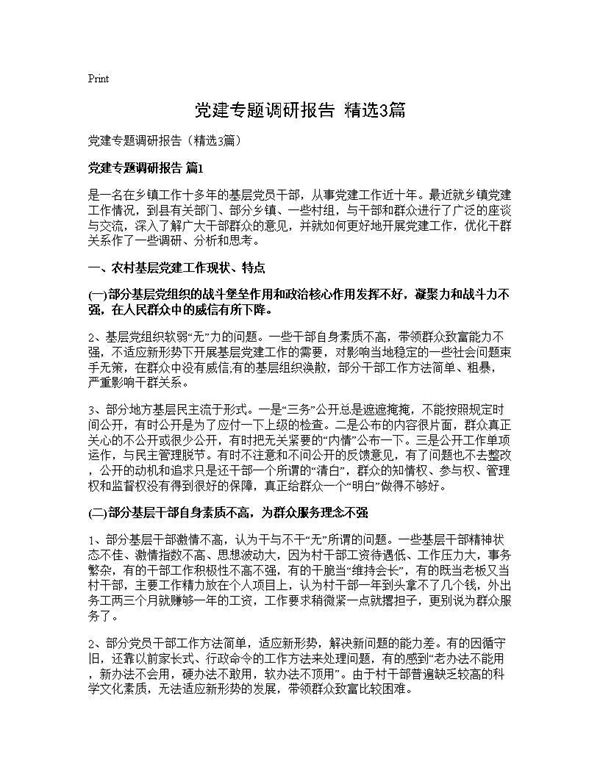 党建专题调研报告(精选) (共13页)