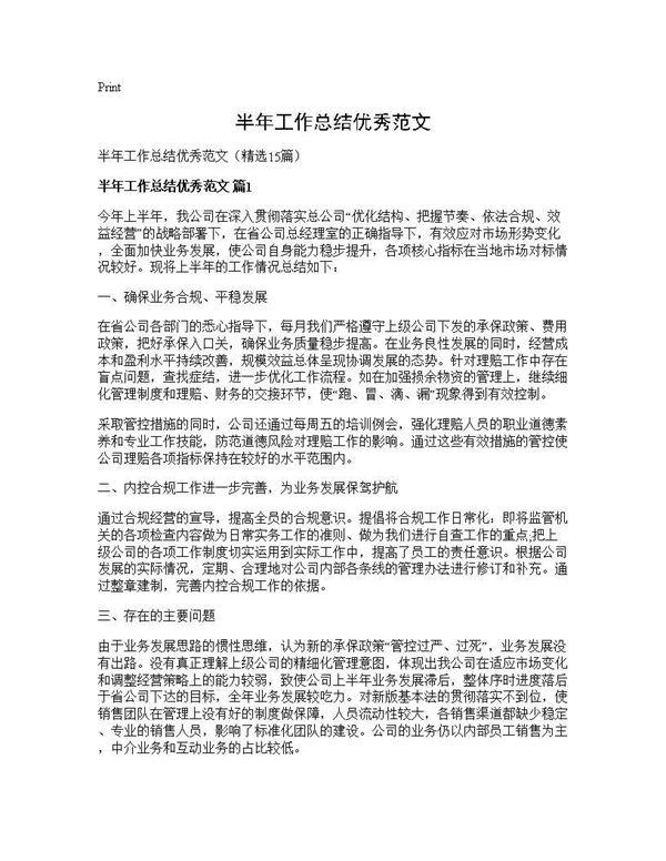 半年工作总结优秀范文 (共14页)