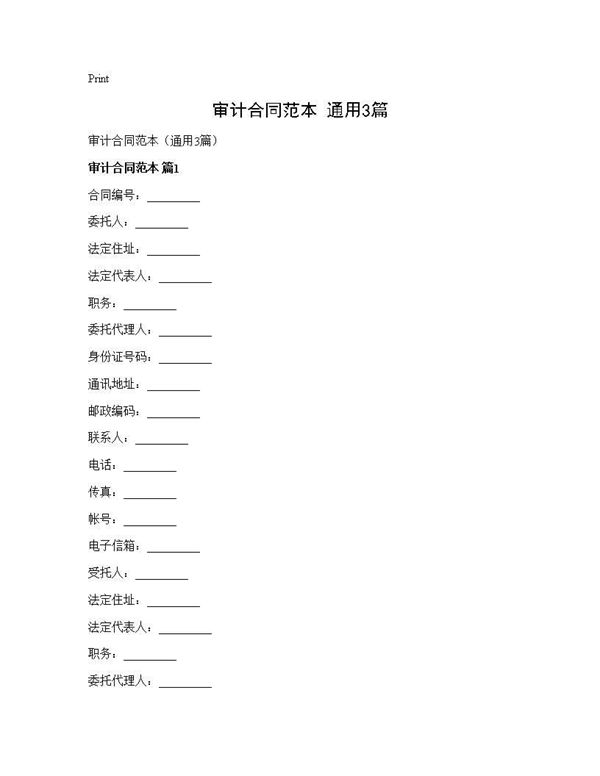 审计合同范本(通用) (共12页)