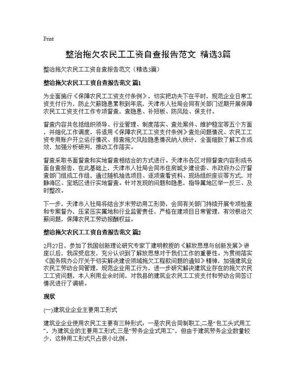 整治拖欠农民工工资自查报告范文(精选) (共5页)