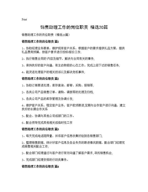 销售助理工作的岗位职责(精选) (共8页)
