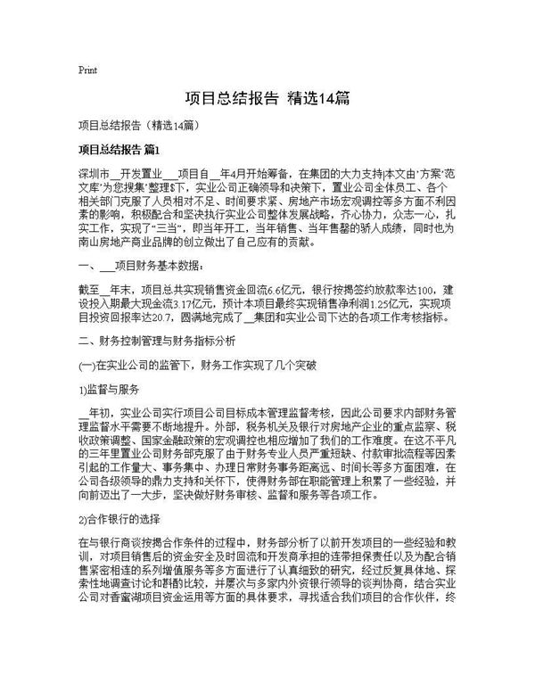 项目总结报告(精选) (共22页)