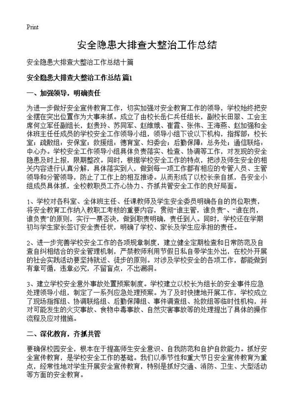 安全隐患大排查大整治工作总结 (共14页)