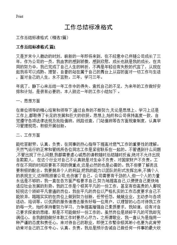 工作总结标准格式 (共15页)