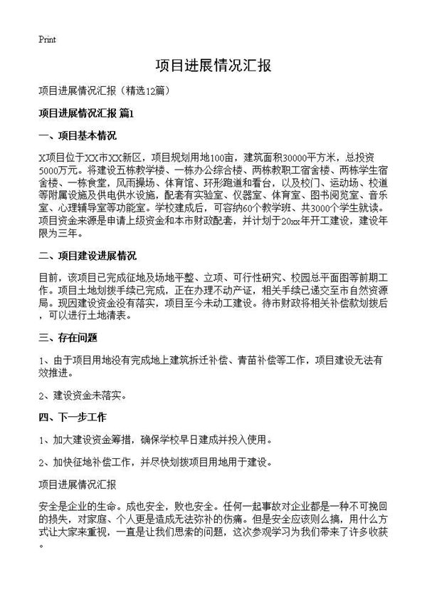 项目进展情况汇报 (共19页)