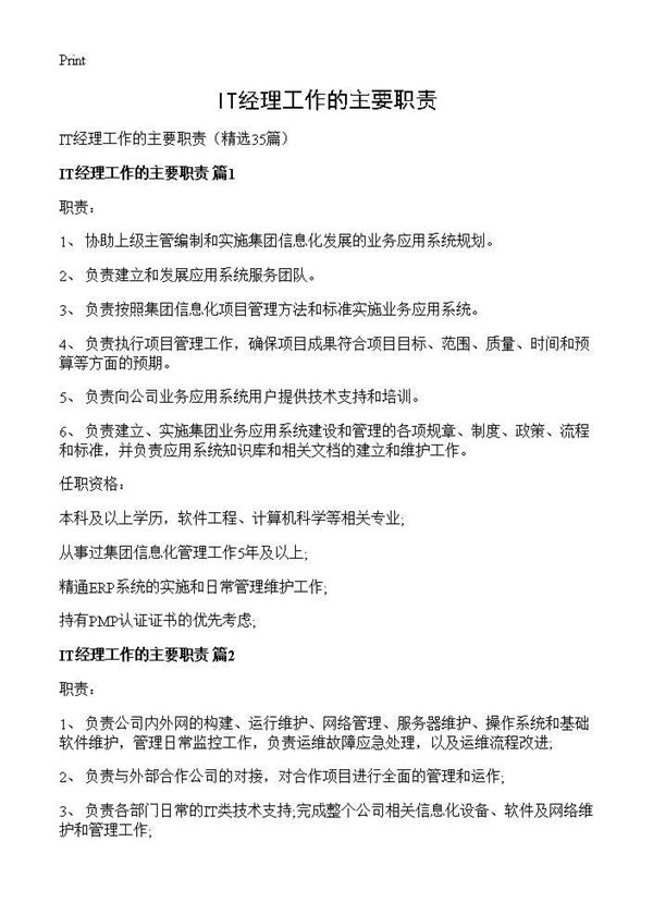 IT经理工作的主要职责 (共20页)