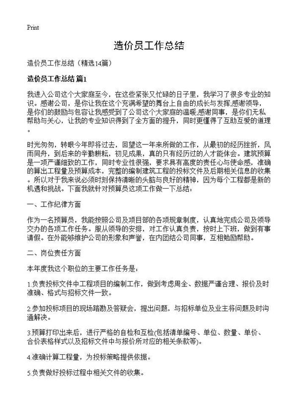 造价员工作总结 (共20页)