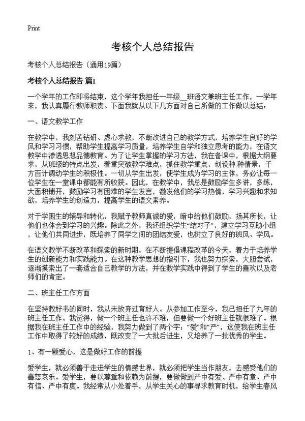 考核个人总结报告 (共20页)