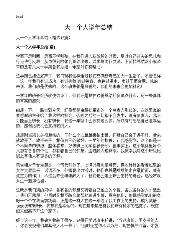大一个人学年总结 (共14页)