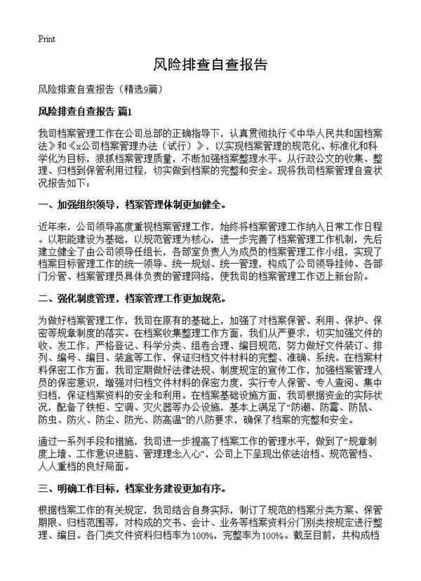 风险排查自查报告 (共12页)