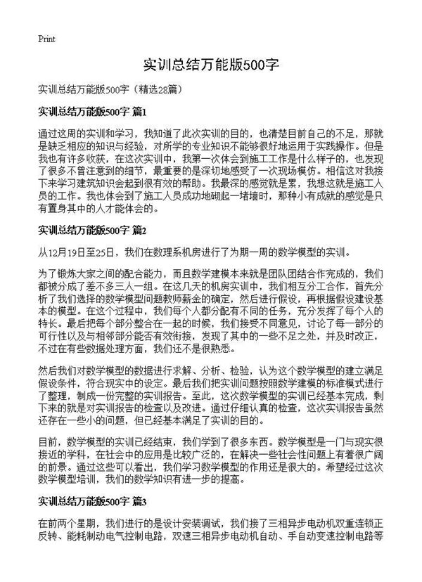 实训总结万能版500字 (共13页)