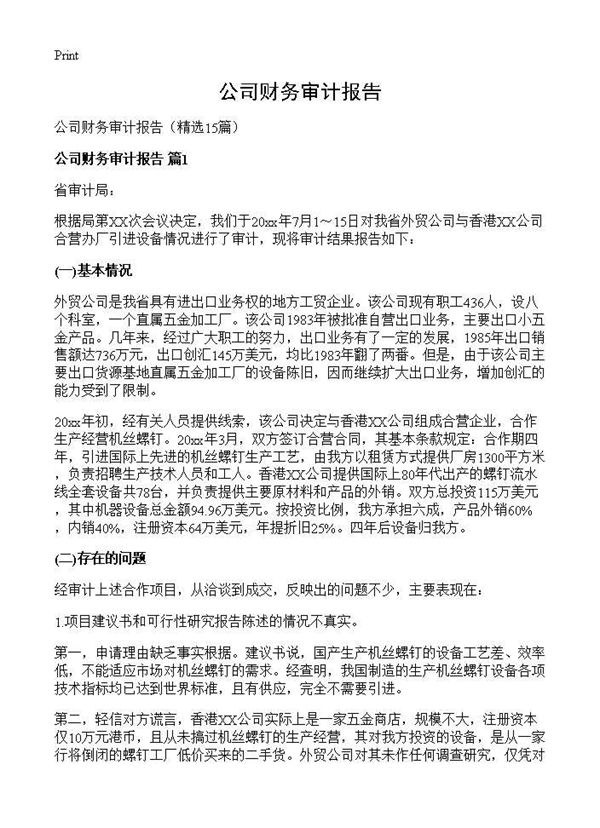公司财务审计报告 (共23页)