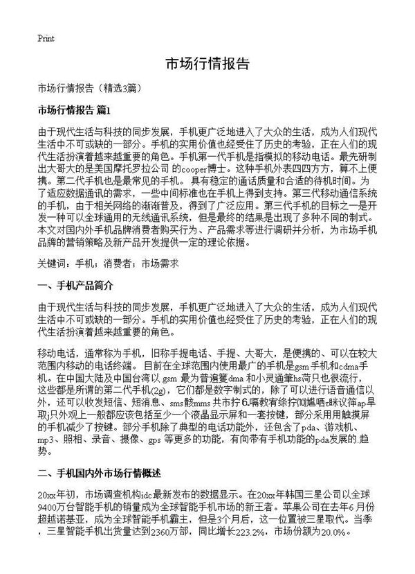 市场行情报告 (共13页)