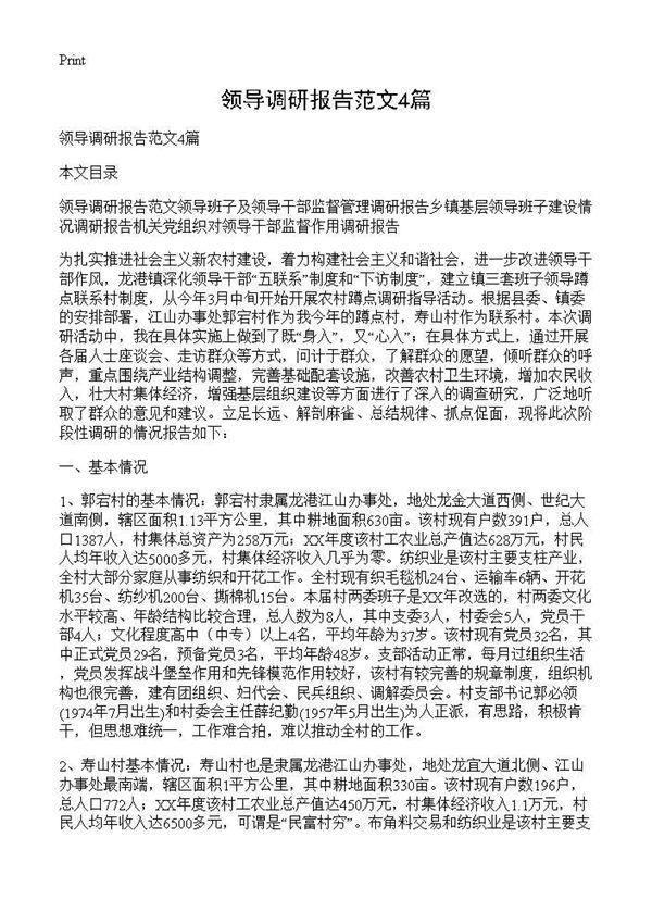 领导调研报告范文 (共13页)