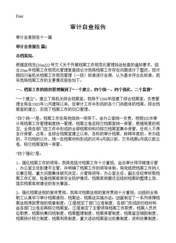 审计自查报告 (共18页)