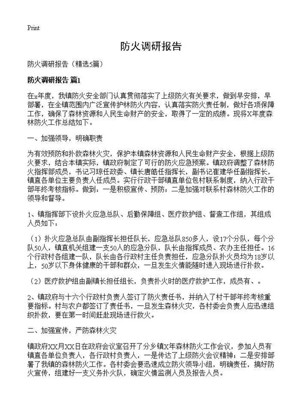防火调研报告 (共12页)