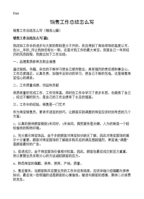 销售工作总结怎么写 (共14页)