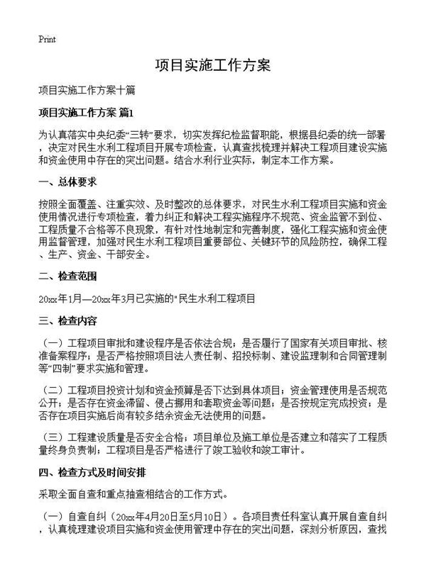 项目实施工作方案 (共20页)