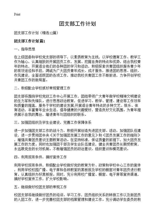 团支部工作计划 (共14页)