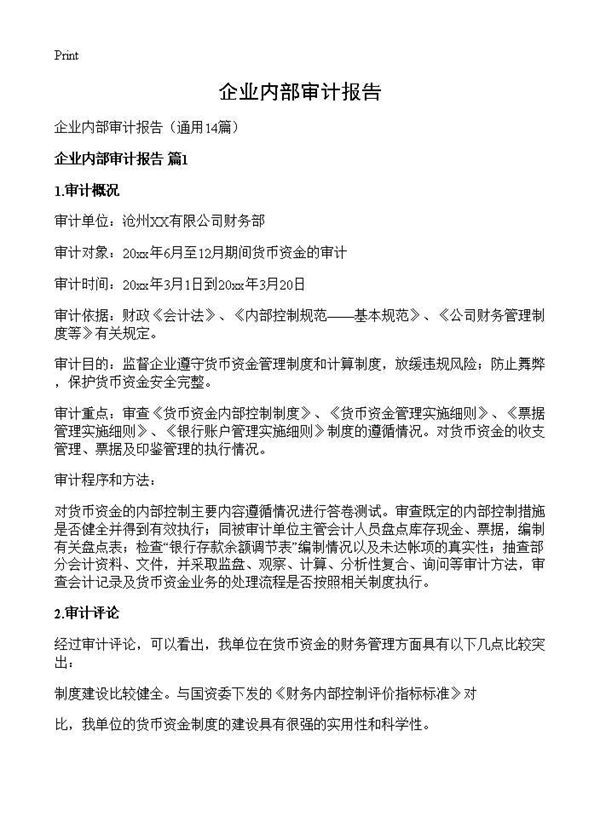 企业内部审计报告 (共30页)