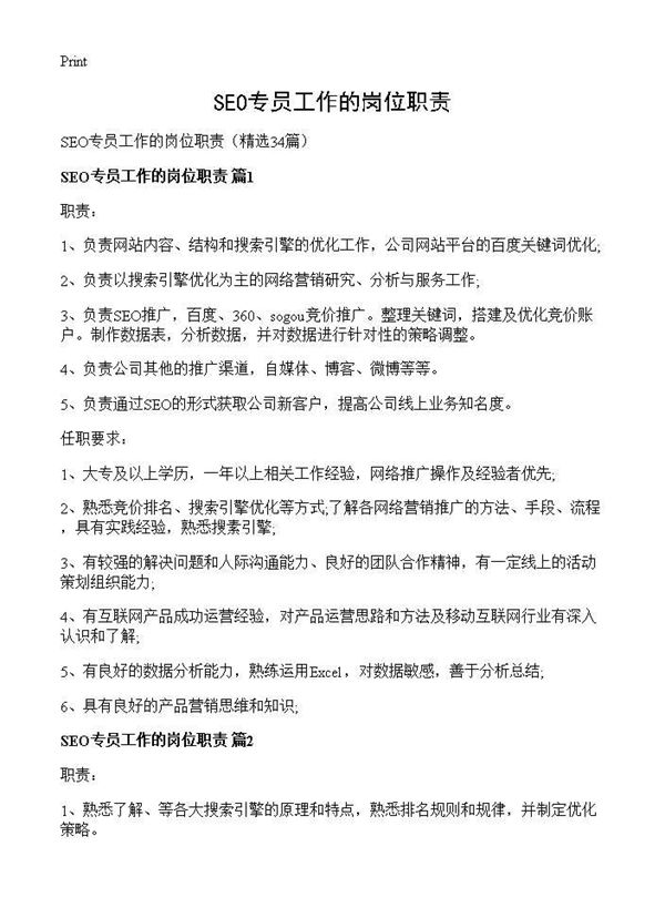 SEO专员工作的岗位职责 (共11页)