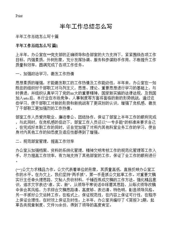 半年工作总结怎么写 (共10页)