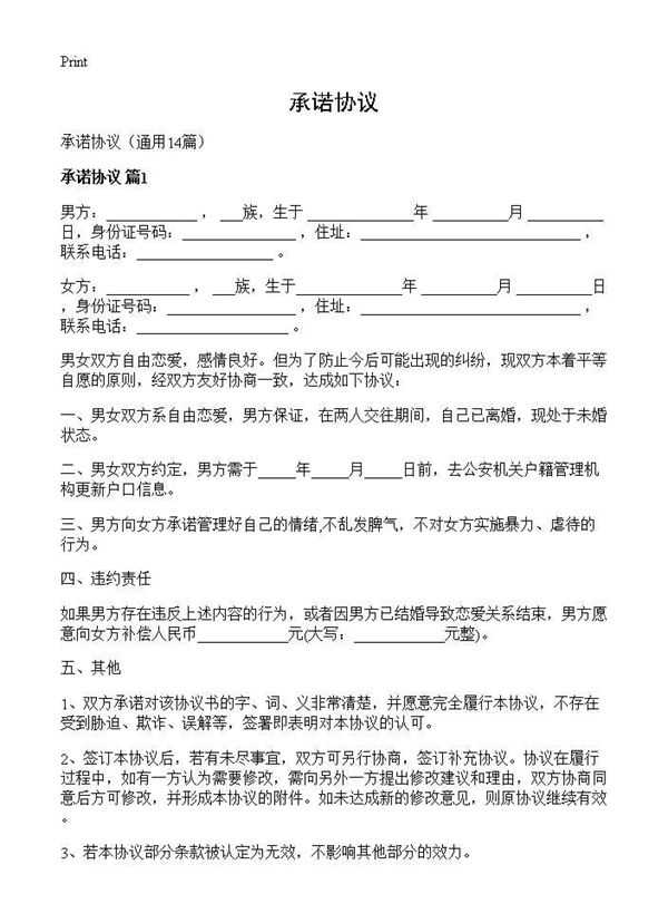 承诺协议 (共12页)