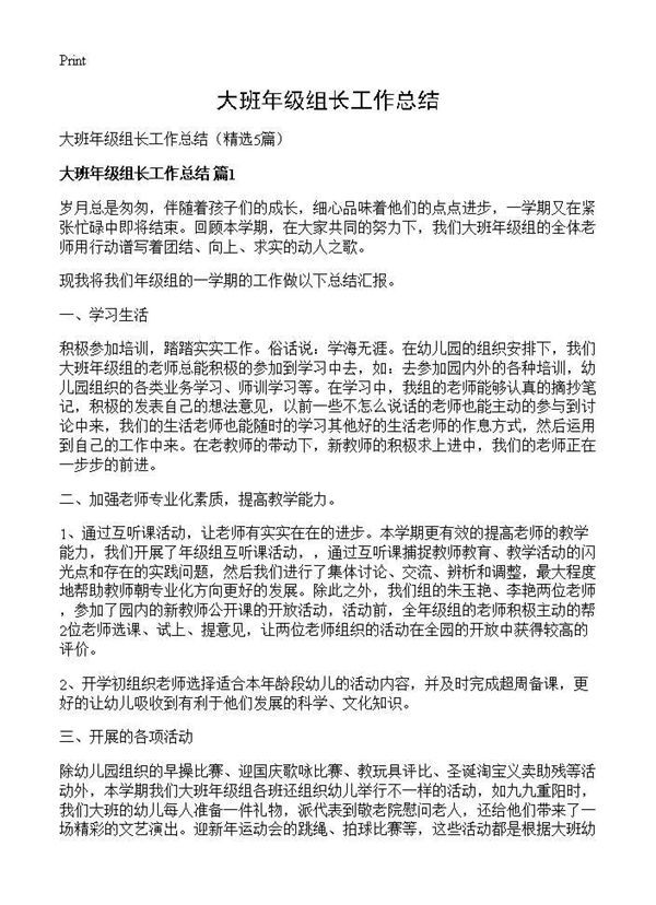 大班年级组长工作总结 (共14页)
