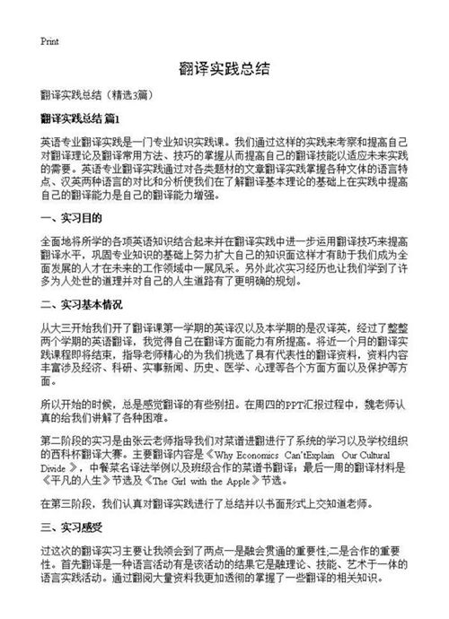翻译实践总结