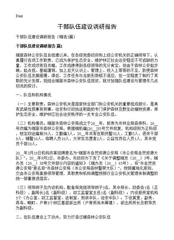 干部队伍建设调研报告 (共9页)