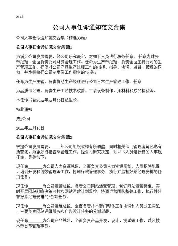 公司人事任命通知范文合集 (共14页)