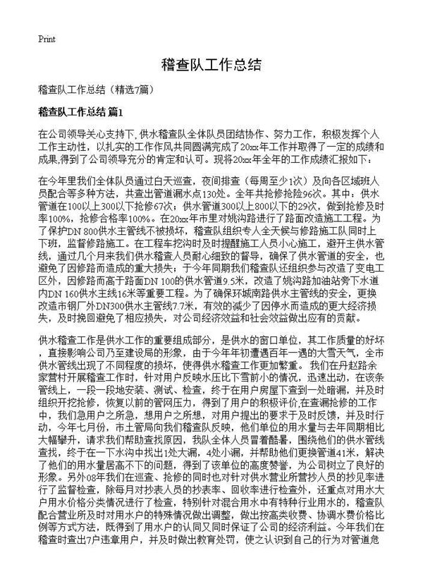 稽查队工作总结 (共7页)