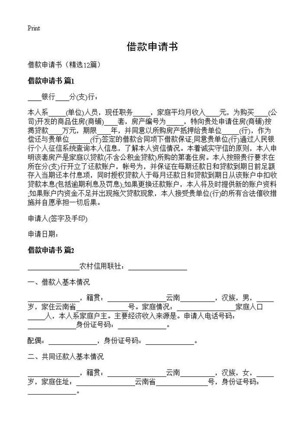 借款申请书 (共10页)